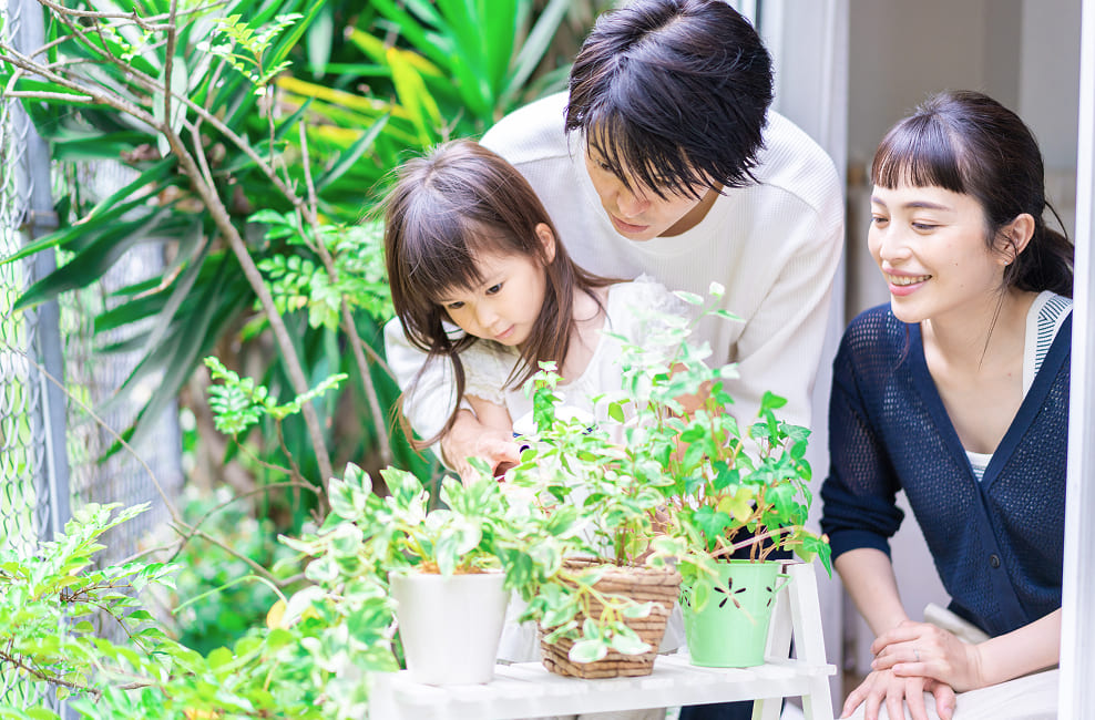 分譲住宅の特徴の画像